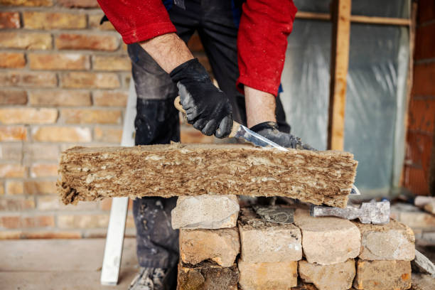 Best Home Insulation Services  in Abbeville, GA